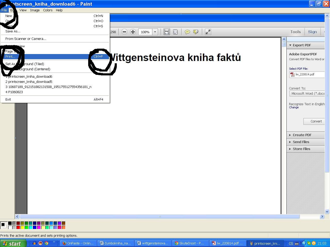 15 printscreen_kniha_download8